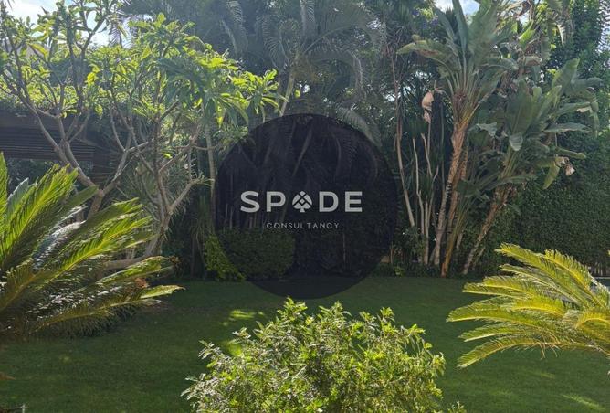 8694719 - صورة العقار 3