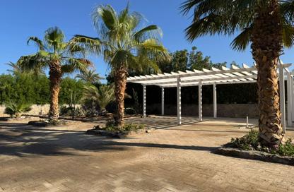 Villa - 4 - 3 for rent in White Villas - El Gouna - Hurghada - Red Sea
