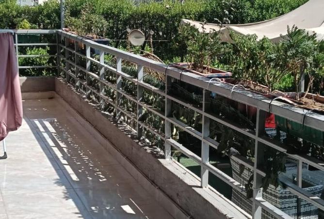 62167375 - صورة العقار 2