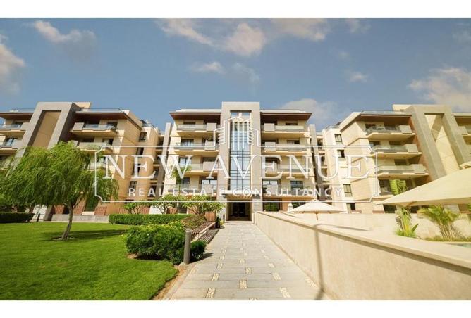 66175156 - Property Image 3