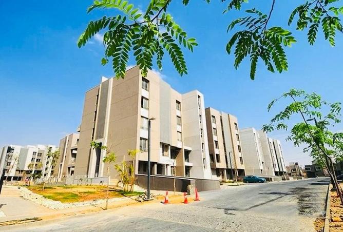 8650918 - Property Image 3