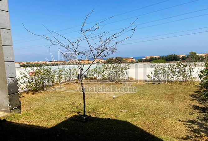 59246033 - Property Image 2