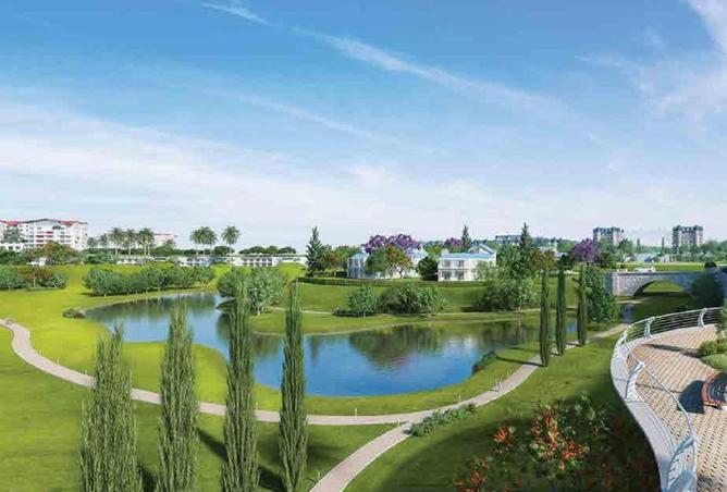 8565589 - Property Image 3