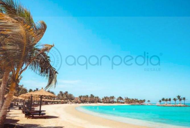 81578071 - صورة العقار 3