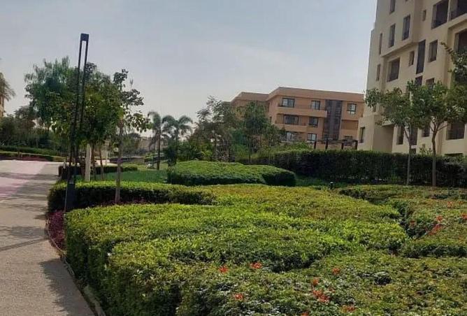 69824848 - صورة العقار 3