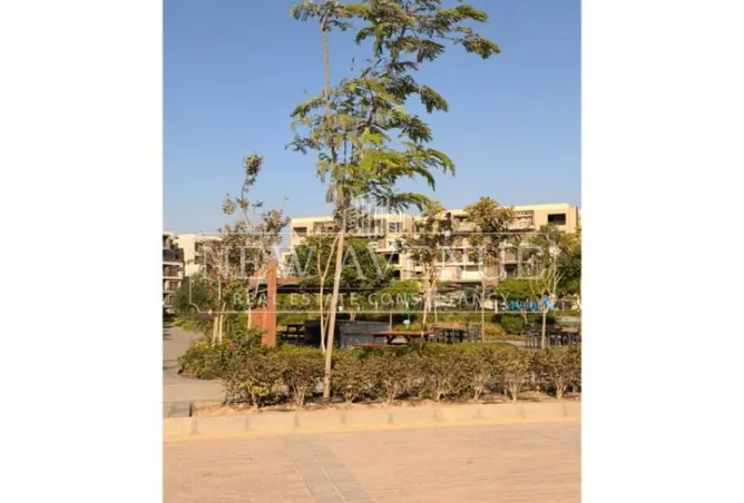 114893177 - Property Image 3
