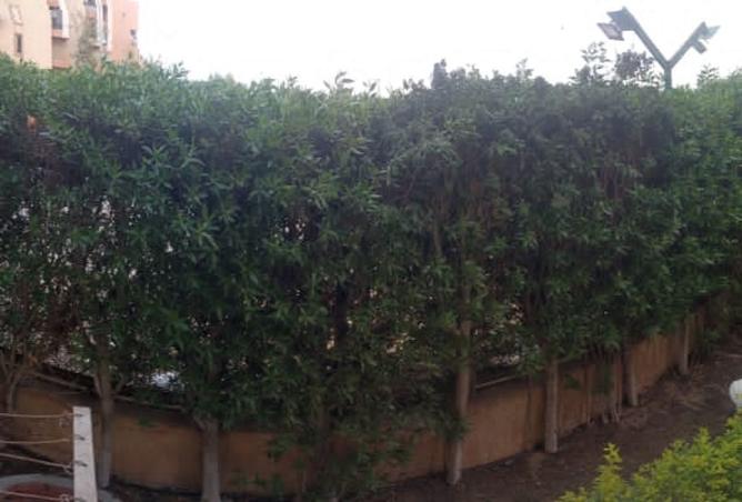 8469395 - Property Image 2