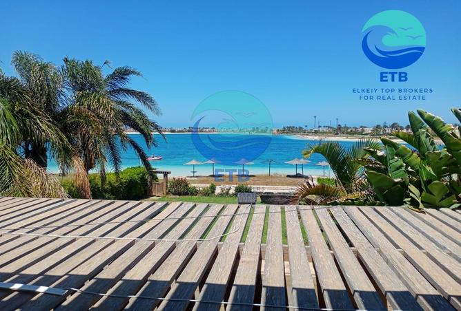67741479 - صورة العقار 2