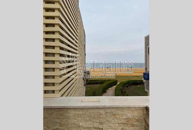 102906518 - Property Image 2