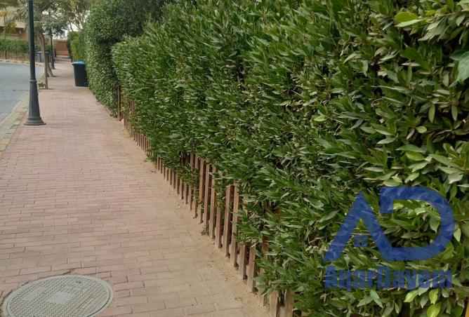 82104085 - صورة العقار 3