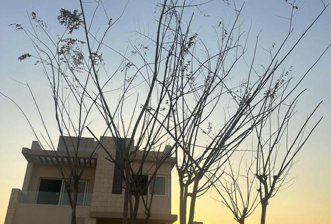 8569016 - صورة العقار 3