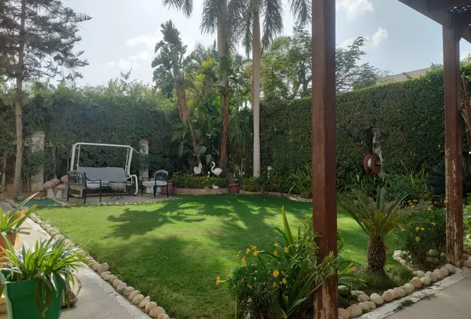 71904080 - صورة العقار 3