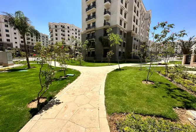 116234584 - صورة العقار 2