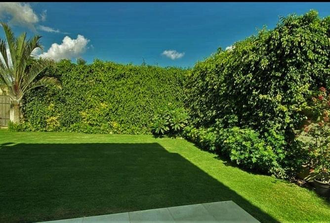 8542236 - Property Image 3