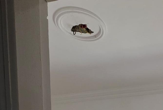 101790285 - Property Image 3