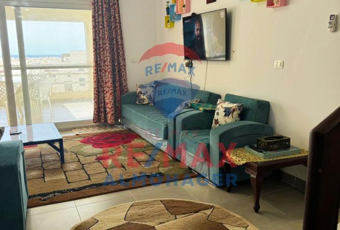 8667646 - Property Image 3