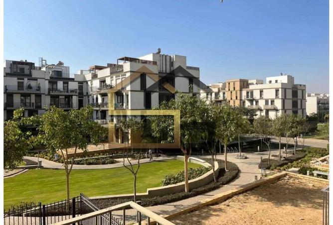 54495610 - صورة العقار 3