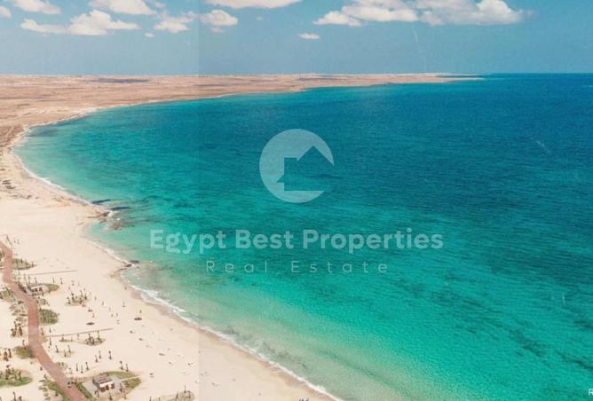 8655498 - صورة العقار 2