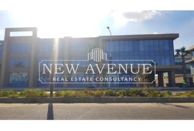 53219862 - صورة العقار 3