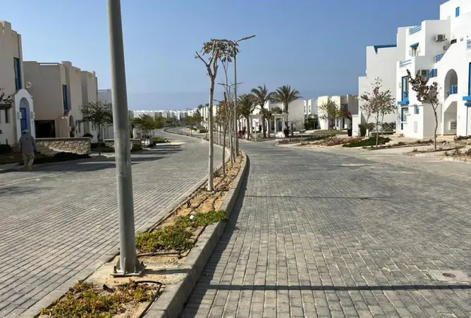97728164 - صورة العقار 3