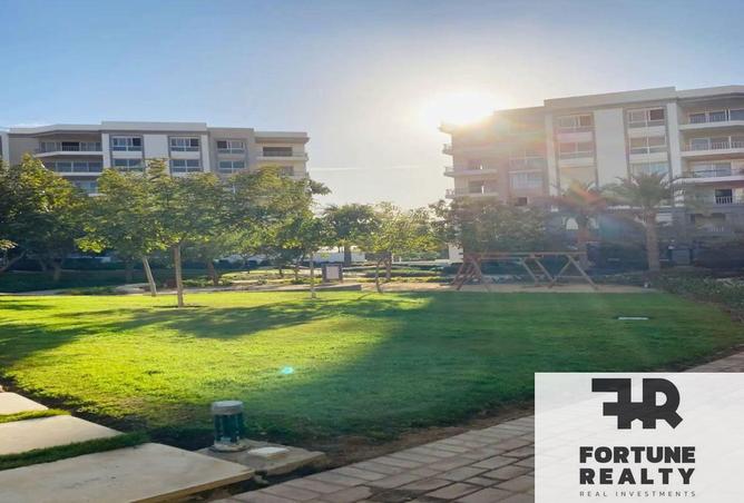 56253456 - Property Image 3