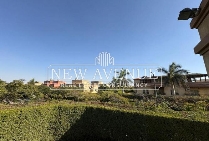 55001234 - صورة العقار 3