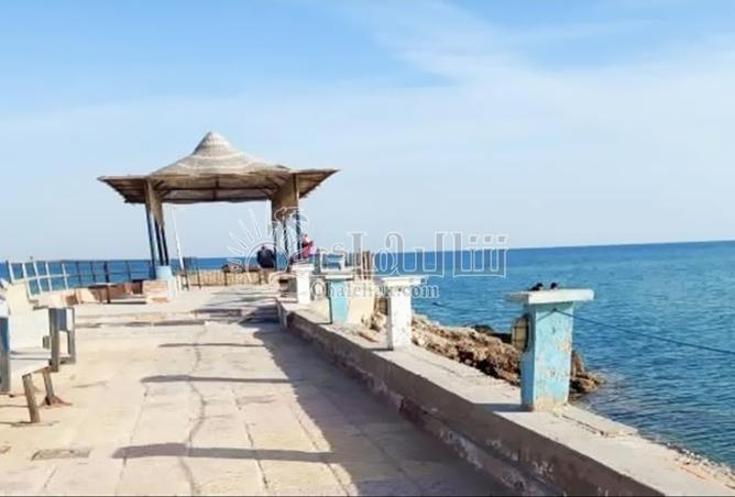 8511811 - Property Main Image