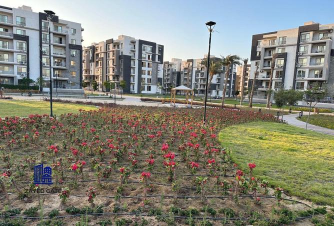 66167143 - Property Main Image