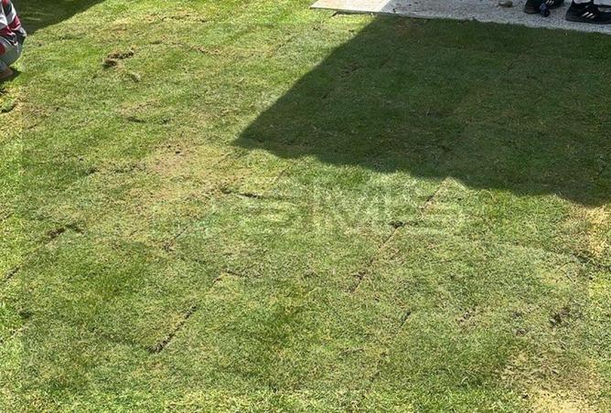 57736440 - Property Image 3