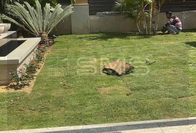 57736440 - Property Main Image