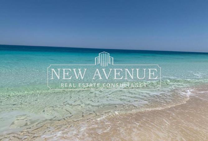 54505320 - Property Image 2