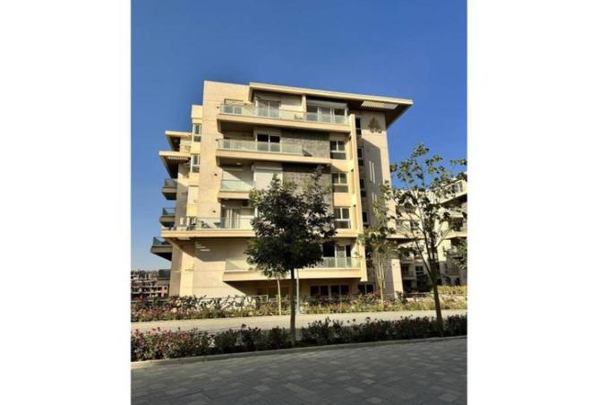 8662628 - Property Image 3