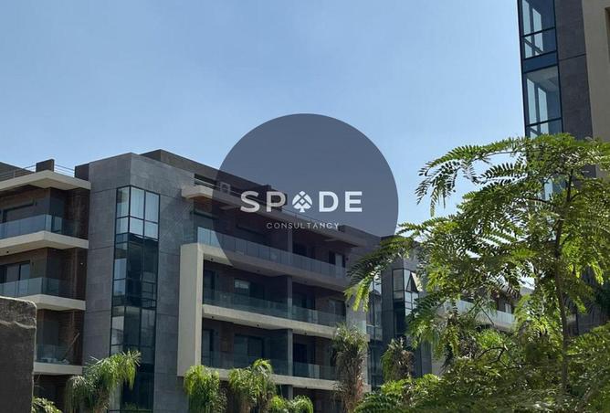 62404090 - Property Image 3