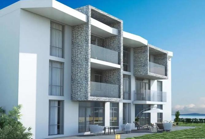 65164178 - Property Image 3