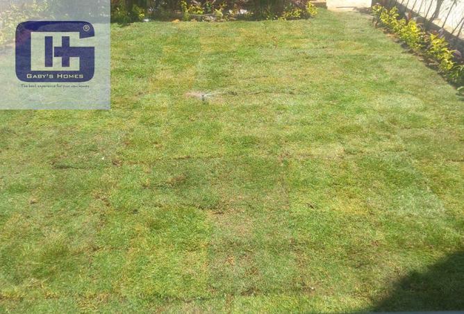 62401696 - Property Image 2