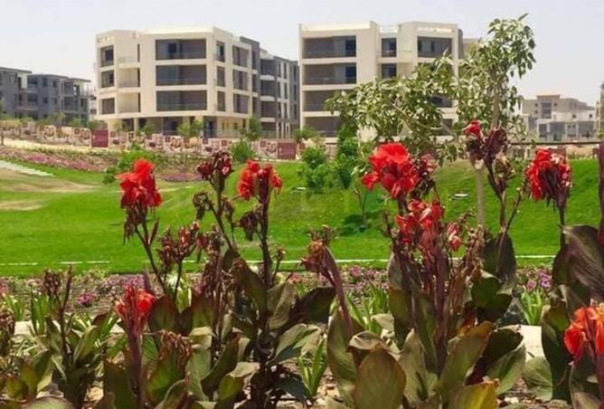 98552606 - صورة العقار 2