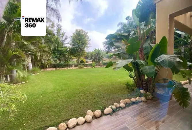 117269855 - Property Image 3
