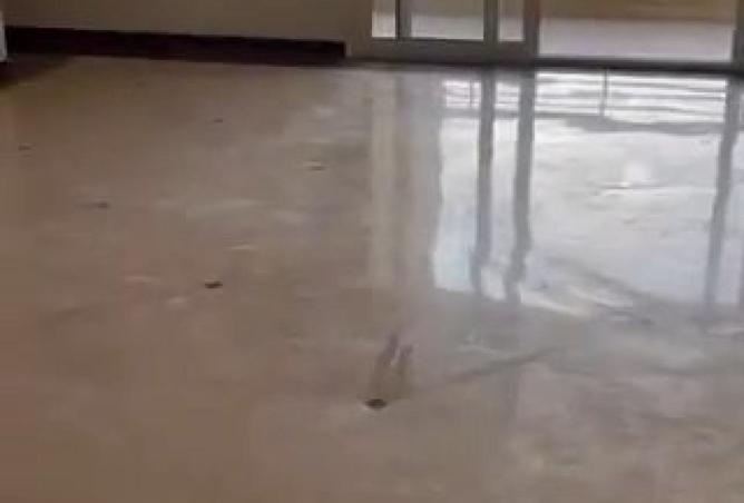 54761160 - صورة العقار 3