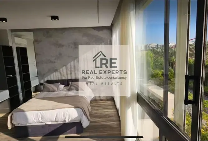 119336842 - Property Image 3