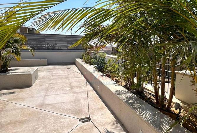 56988227 - Property Image 2