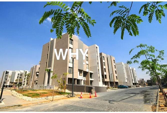 59753338 - Property Image 3