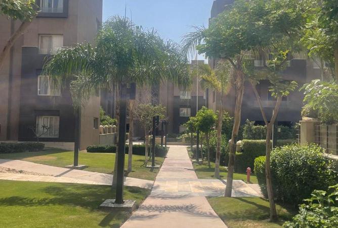 101199601 - Property Image 3