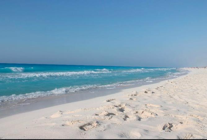 95764481 - صورة العقار 2
