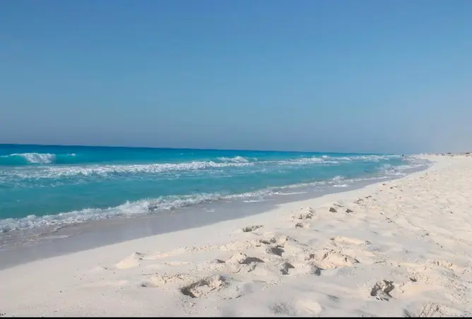 95764481 - صورة العقار 2