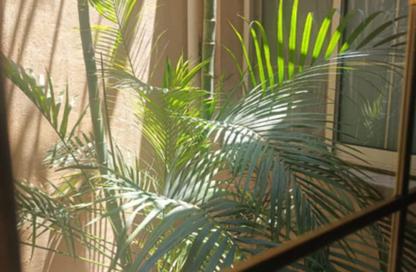 Apartment - 6 Bedrooms - 4 Bathrooms for sale in Al Hadaba Al Wosta - Mokattam - Cairo