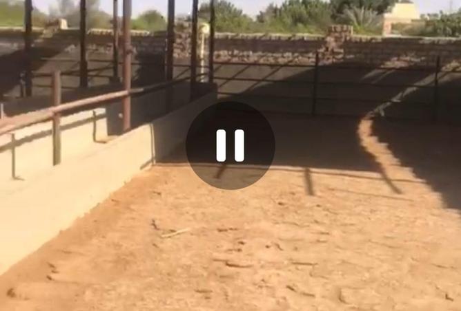 60476769 - Property Image 3