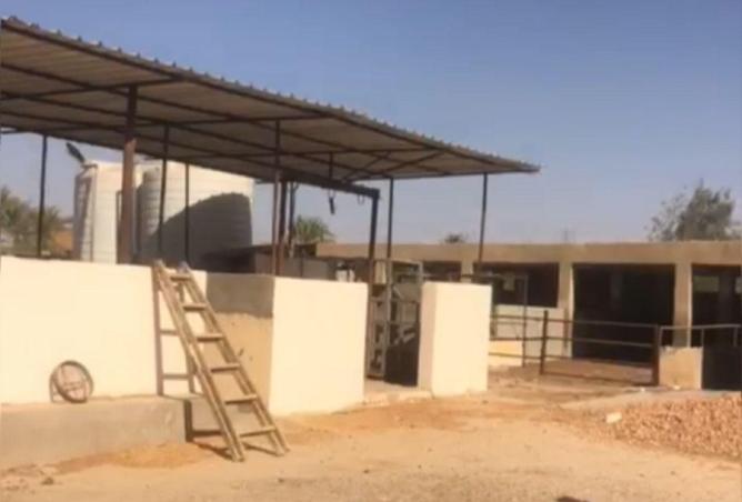 60476769 - Property Image 2