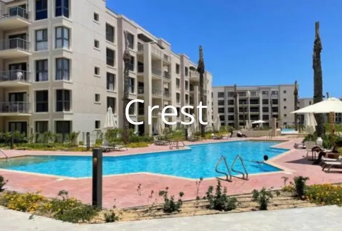 116498489 - Property Image 3