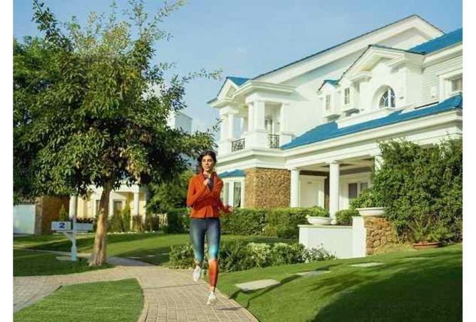 8631927 - Property Image 3