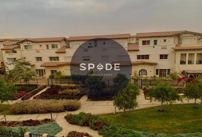 55498485 - Property Image 2